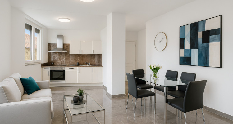 Immeubles CHF 151’800.– d’états locatifs garantis 1 an à 100 % dès l’achat image 8