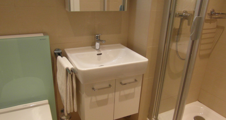 Bel appartement meublé de 3 pièces à Carouge (Genève) image 4