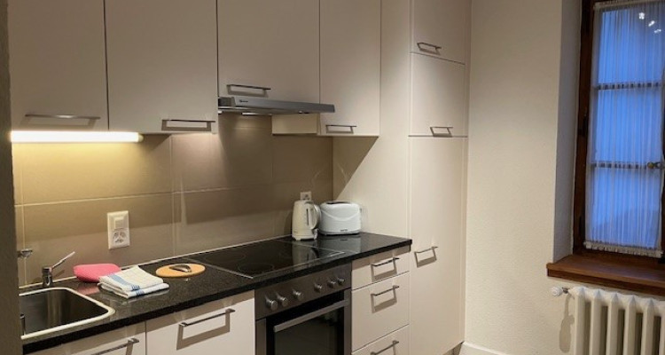 Bel appartement meublé de 3 pièces à Carouge (Genève) image 5