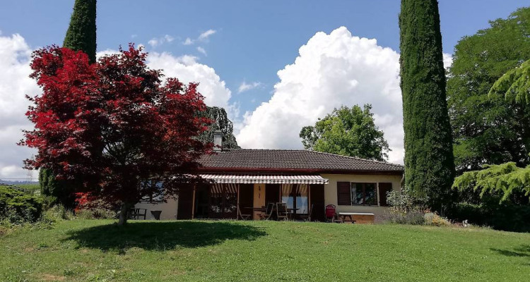 Magnifique Villa à Gland 4200.- image 4