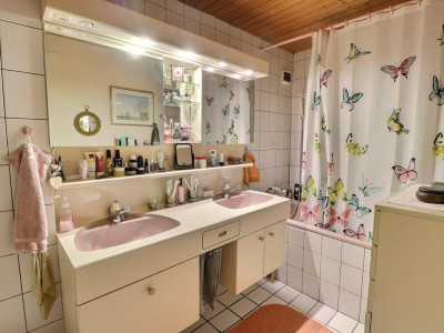 Très joli chalet en viager occupé sans rente potentiel de construction image 12