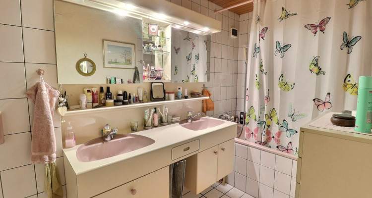 Très joli chalet en viager occupé sans rente potentiel de construction image 12