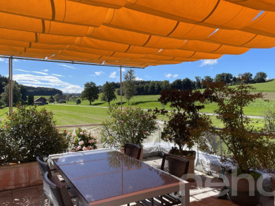 Moderne 2.5-Zimmer-Attikawohnung mit Terrasse und Weitsicht image 12