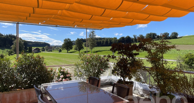 Moderne 2.5-Zimmer-Attikawohnung mit Terrasse und Weitsicht image 12