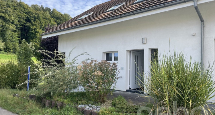 Moderne 2.5-Zimmer-Attikawohnung mit Terrasse und Weitsicht image 2