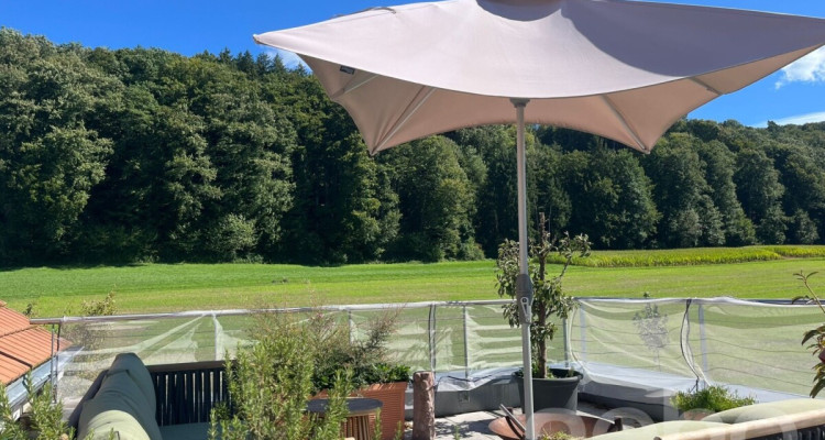 Moderne 2.5-Zimmer-Attikawohnung mit Terrasse und Weitsicht image 11