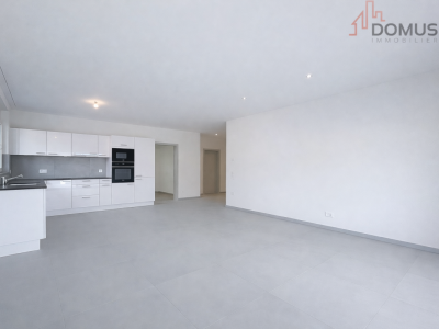 Magnifique attique 2,5 pièces avec superbe terrasse image 8