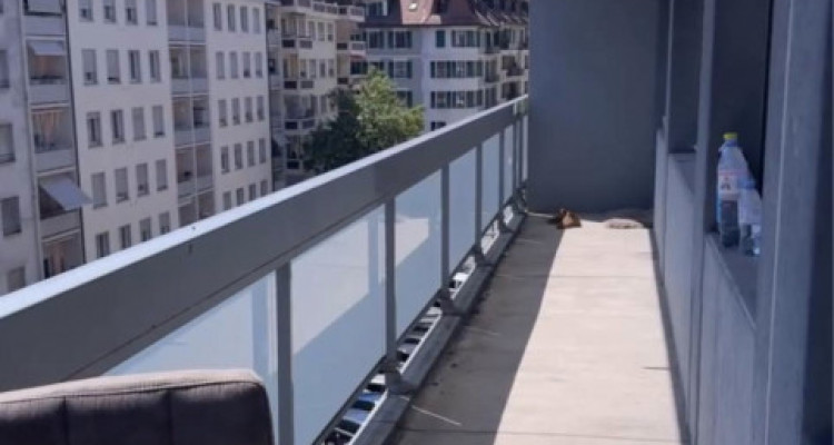 Nous vous proposons un appartement 4 pièces situé au charmilles image 8