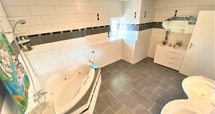 Au coeur de Sullens magnifique ferme rénovée  image 12