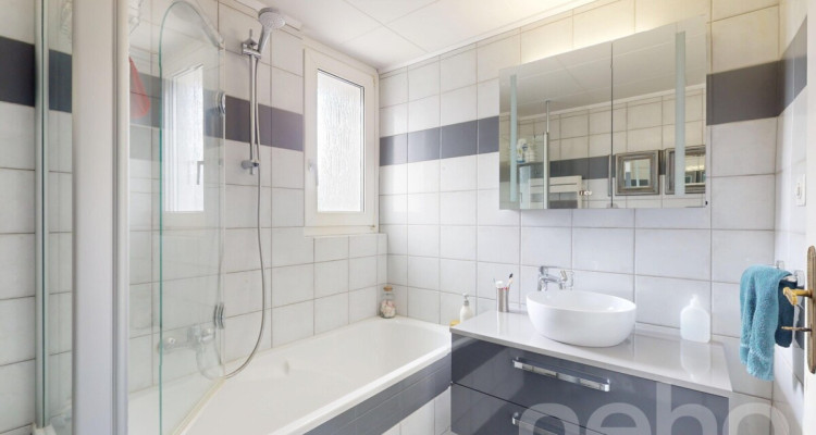 Splendide villa située à Estavayer-le-Lac, à deux pas des rives du Lac image 11