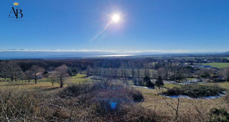 Chalet des aventuriers, Arzier-Le Muids, en exclusivité Abby Bryand Immobilier image 9