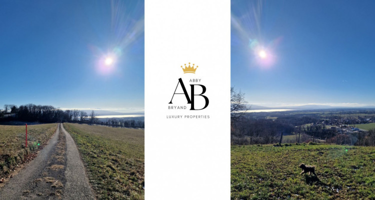Chalet des aventuriers, Arzier-Le Muids, en exclusivité Abby Bryand Immobilier image 13