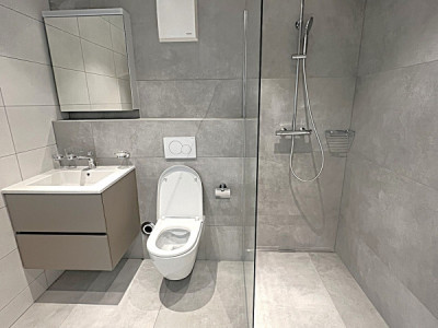 Charmant duplex 4.5 pièces avec mezzanine dans ferme rénovée image 8