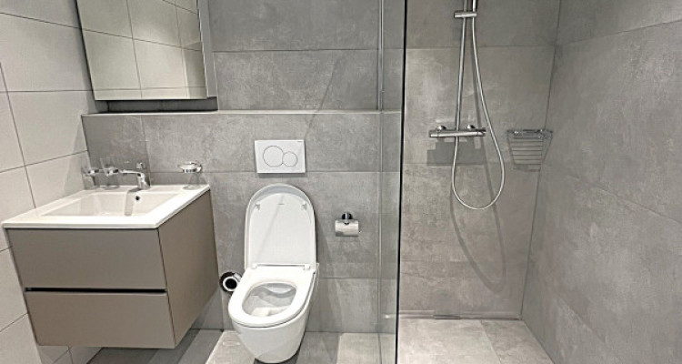 Charmant duplex 4.5 pièces avec mezzanine dans ferme rénovée image 8