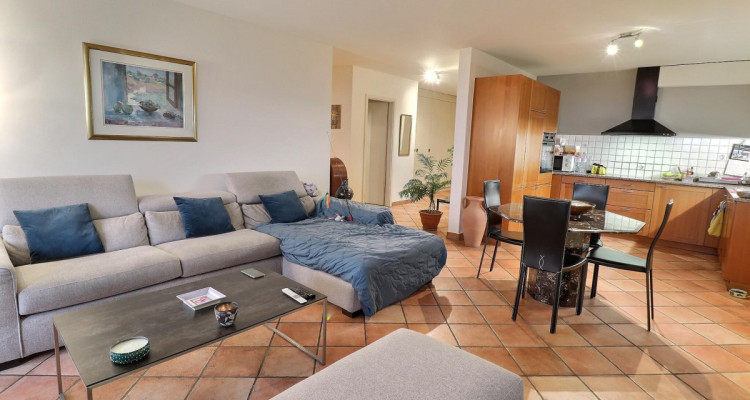 Superbe appartement en viager occupé sans rente avec piscine et vue Lac image 8