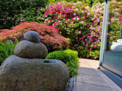 Opportunité unique! Magnifique maison individuelle au centre de Pully image 10