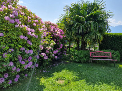 Opportunité unique! Magnifique maison individuelle au centre de Pully image 11