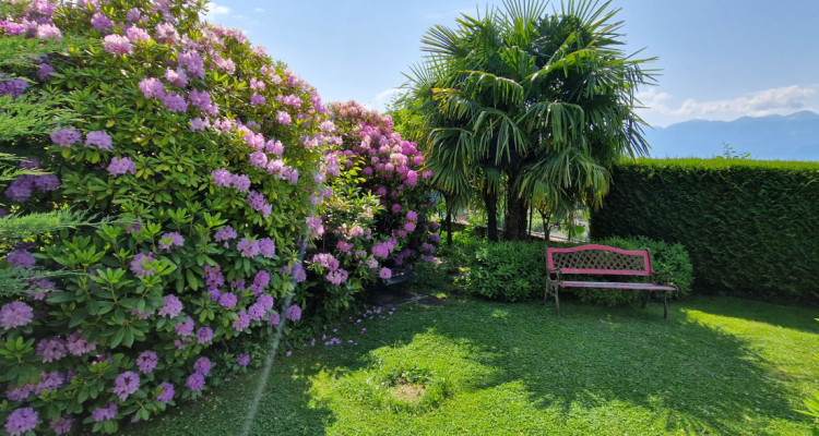 Opportunité unique! Magnifique maison individuelle au centre de Pully image 11