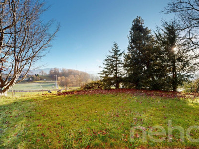 Maison familiale avec vue sur les Préalpes à Villars-sur-Glâne image 10