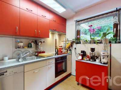 Appartement 4,5 pièces avec jardin, vue montagne et garage image 1