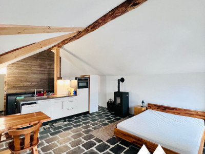 IMMEUBLE DE RENDEMENT, MASE ( MONT-NOBLE ) image 4