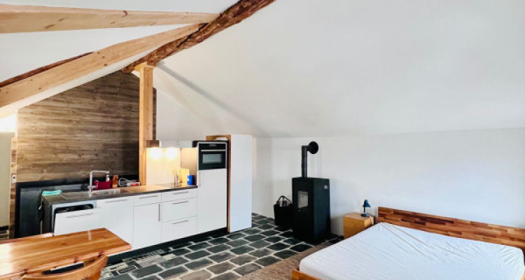 IMMEUBLE DE RENDEMENT, MASE ( MONT-NOBLE ) image 4