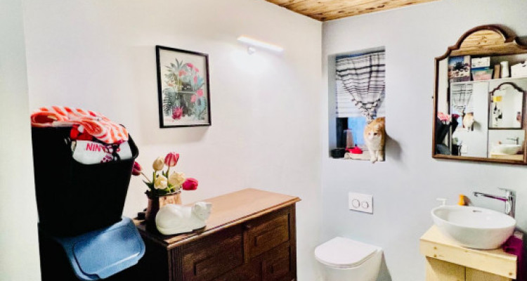 IMMEUBLE DE RENDEMENT, MASE ( MONT-NOBLE ) image 8