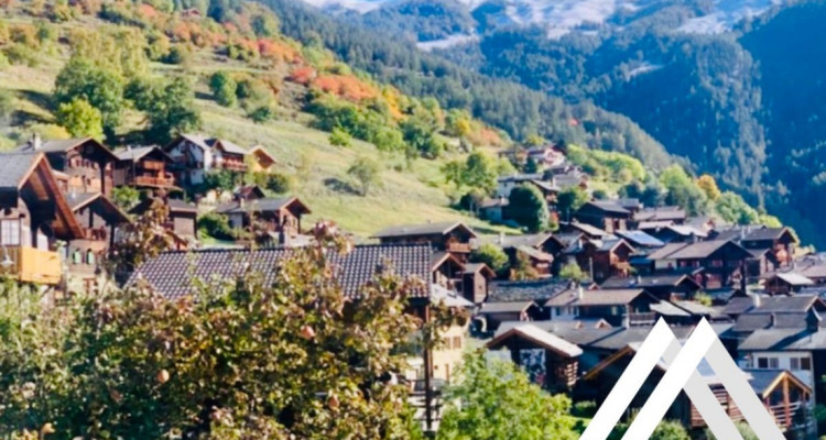 IMMEUBLE DE RENDEMENT, MASE ( MONT-NOBLE ) image 9