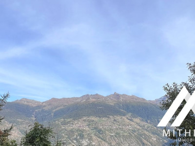 PARCELLE DE 6502 M2, ZONE IMMEUBLE / 0.63, LES MASSES image 3