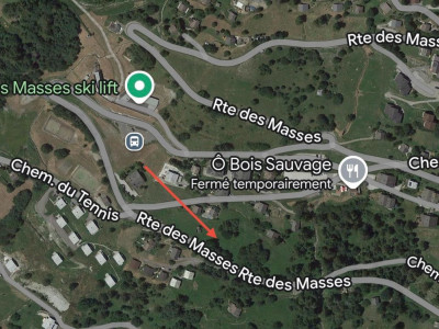 PARCELLE DE 6502 M2, ZONE IMMEUBLE / 0.63, LES MASSES image 4