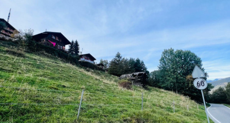 PARCELLE DE 6502 M2, ZONE IMMEUBLE / 0.63, LES MASSES image 1