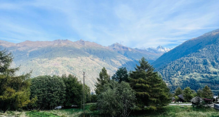 PARCELLE DE 6502 M2, ZONE IMMEUBLE / 0.63, LES MASSES image 5