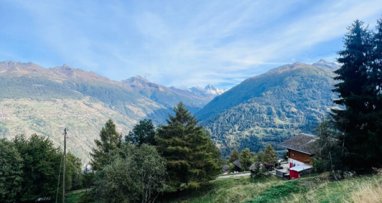 PARCELLE DE 6502 M2, ZONE IMMEUBLE / 0.63, LES MASSES image 6