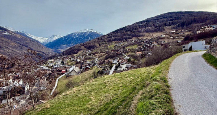 TERRAIN CONSTRUCTIBLE DE 2960  M2, VEX image 7