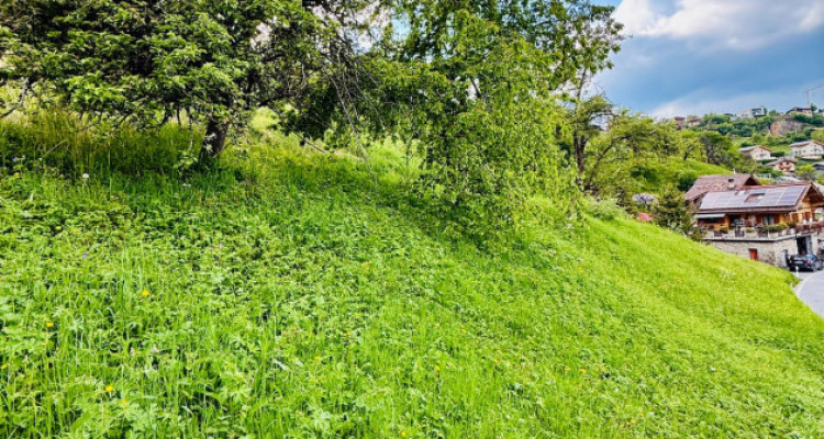 TERRAIN CONSTRUCTIBLE 2648 M2, VEX image 3