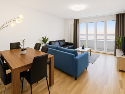 Vue lac panoramique 180° –  2 MOIS OFFERTS - Appartement meublé d’exception - image 3