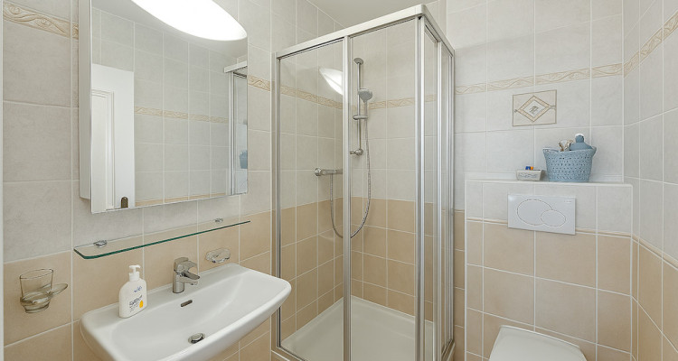 Maison sur les Haut de Chambésy image 10