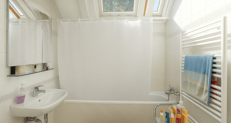 Maison sur les Haut de Chambésy image 12