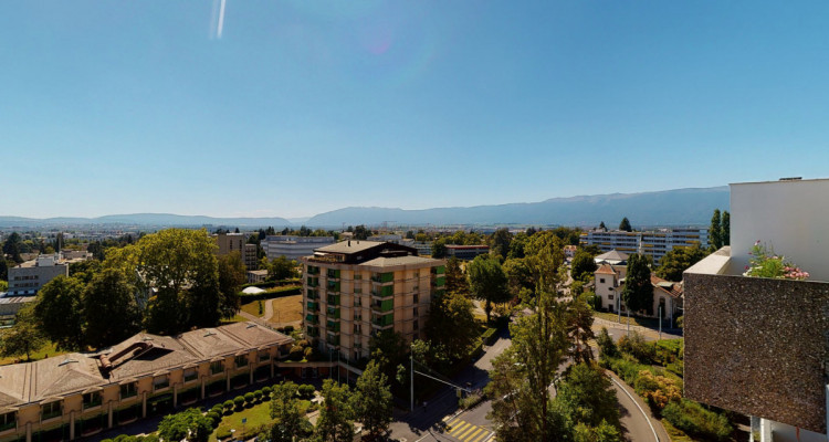 Vue panoramique sur Genève image 1