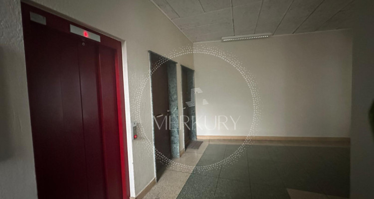 Un charmant appartement de 4,5 pièces situé dans la région des Eaux Vives  image 1