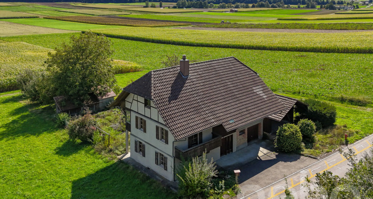 Einfamilienhaus mit grosser Gartenanlage in ländlicher Idylle image 3