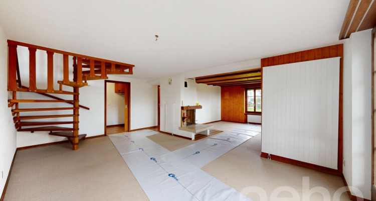 Einfamilienhaus mit grosser Gartenanlage in ländlicher Idylle image 4