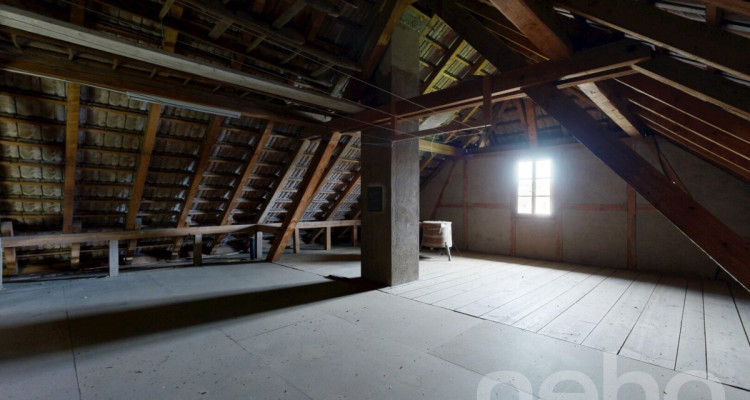 Einfamilienhaus mit grosser Gartenanlage in ländlicher Idylle image 11