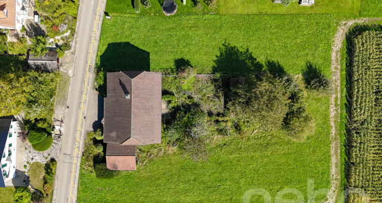 Einfamilienhaus mit grosser Gartenanlage in ländlicher Idylle image 12