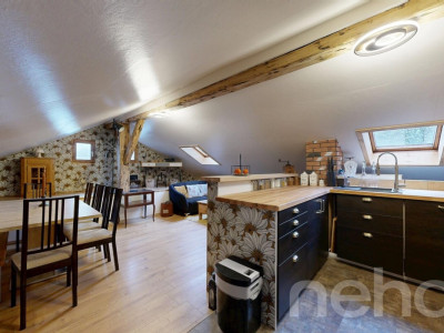 Maison individuelle rénovée avec de grands espaces image 5