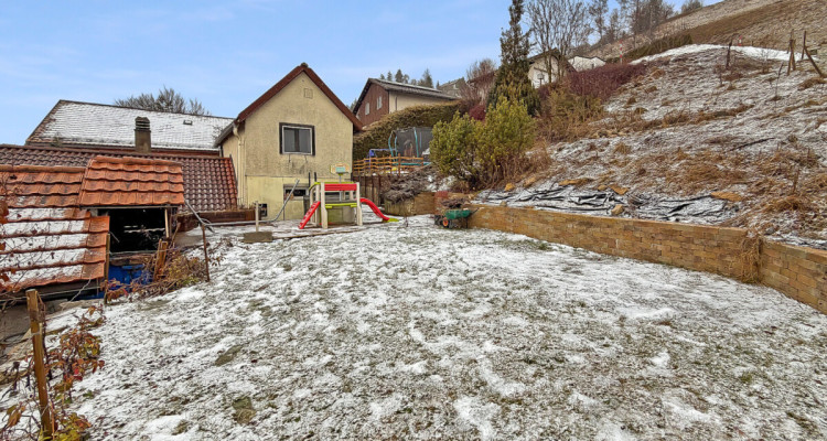 Maison individuelle rénovée avec de grands espaces image 1