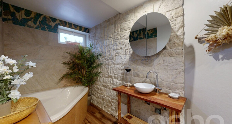 Maison individuelle rénovée avec de grands espaces image 4