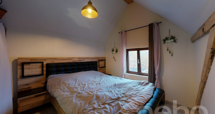 Maison individuelle rénovée avec de grands espaces image 10