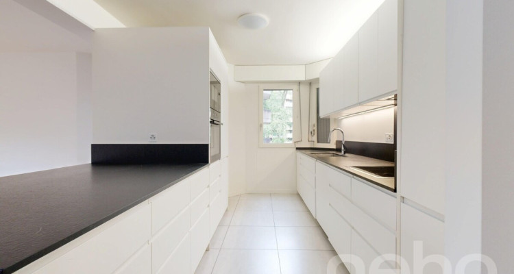 Champel, très beau 4,5 pièces, alliant espace et tranquilité image 9