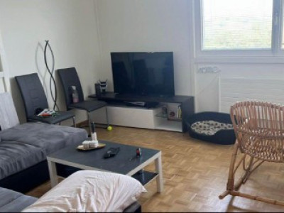 Appartement de 3 pièces situé au Lignon image 1